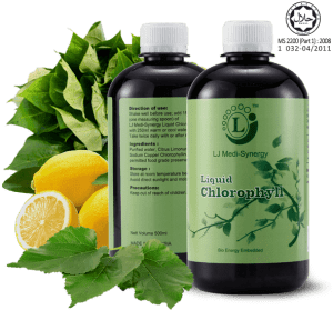 Medi-Synergy Liquid Chlorophyll